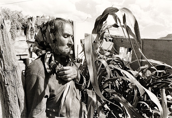 Bessie Yazzie with Sacred Blue Corn Plant by Roger Manley