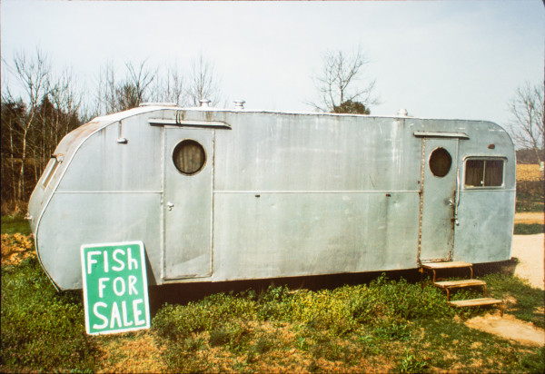Roadside trailer, Highway 61, north of Vicksburg, Mississippi, March 1977 by William R. Ferris