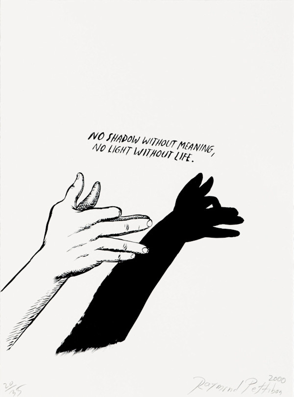 Plots on Loan by Raymond Pettibon