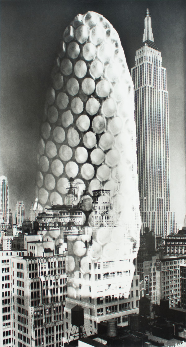 Wild-Bee-Honeycomb Skyscraper by Barbara Morgan