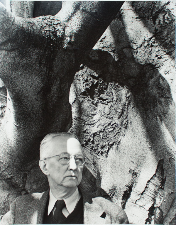 Charles Sheeler and His Favorite Beech Tree by Barbara Morgan