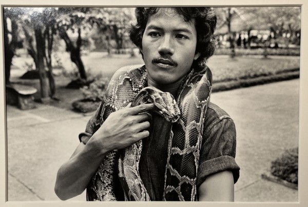 Man with Snake, Bangkok by Stephen Perloff