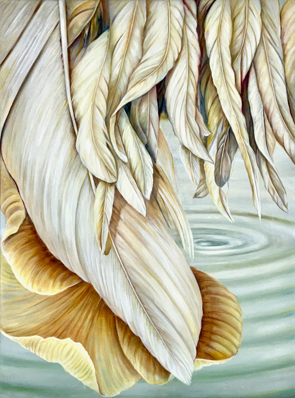Weight of Wings by Dorothea Cheney