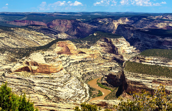 Dinosaur National Monument Afternoon by Rodney Buxton