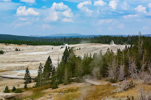Norris Geyser Basin Morning #3 by Rodney Buxton