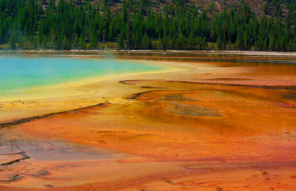 Prismatic Pool, Yellowstone Morning by Rodney Buxton