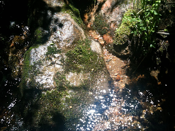 sun on mountain stream with orcks and moss, Santa Fe, June 26, 2012 by Sherri Silverman, Image 1.