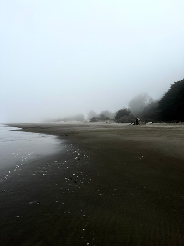 Stonson Beach foggy morning, April 27, 2023 by Sherri Silverman, Image 1.