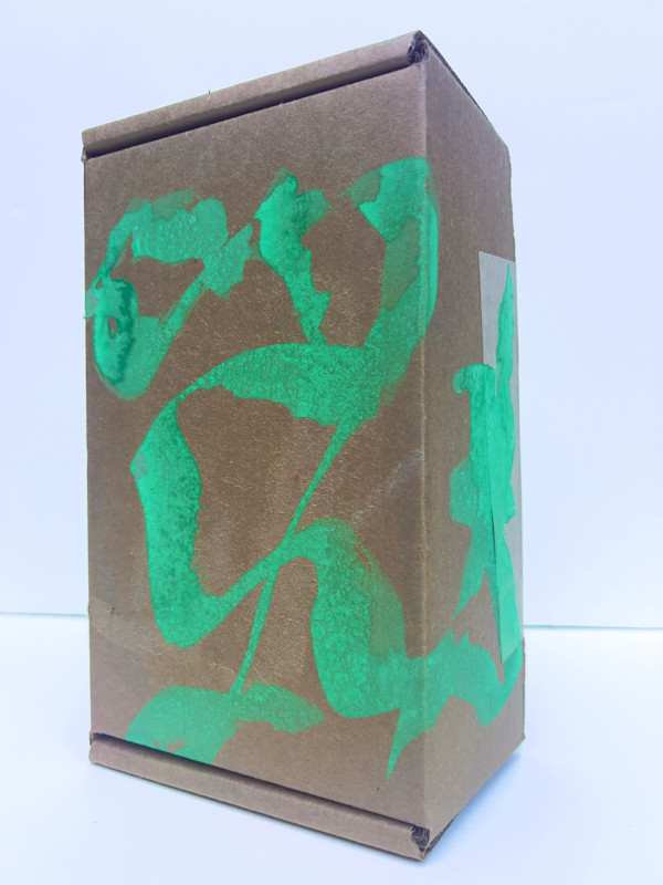 Lichen Box by Sherri Silverman