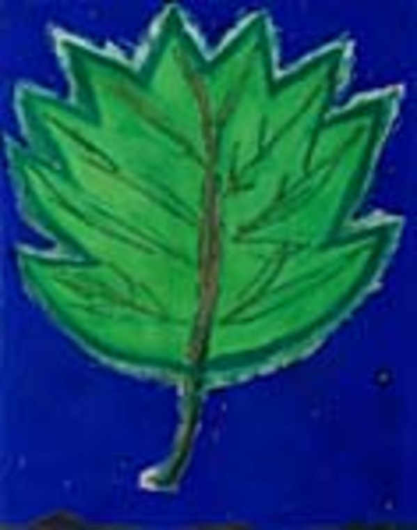 Big Leaf Over New Mexico, NM Starry Night by Sherri Silverman