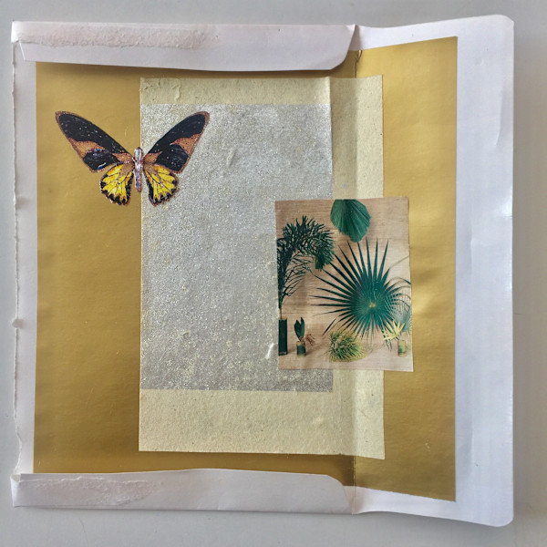 Butterfly and Palmleaf by Sherri Silverman