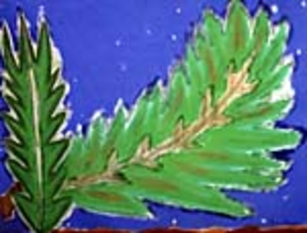 Leaves Over New Mexico by Sherri Silverman