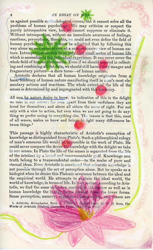 men by nature desire to know: pink flower two stars by Sherri Silverman, Image 1.