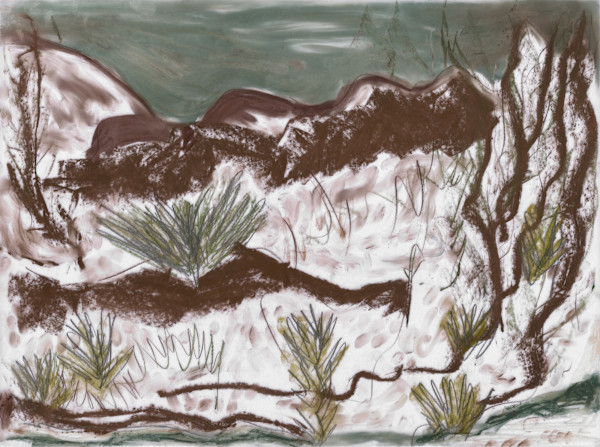 southwest landscape by Sherri Silverman, Image 1.