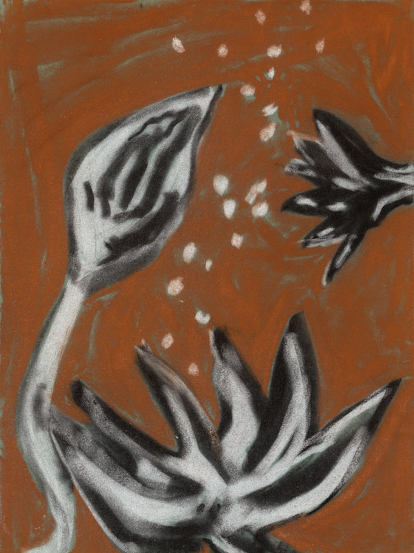 Black and White Flowers 3 by Sherri Silverman, Image 3.