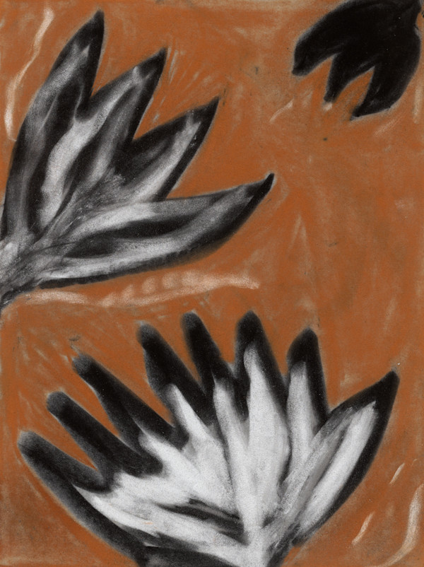 Black and White Flowers 2 by Sherri Silverman, Image 2.