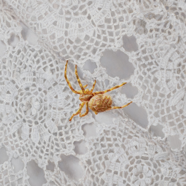 Crochet Spider III by Narelle Zeller