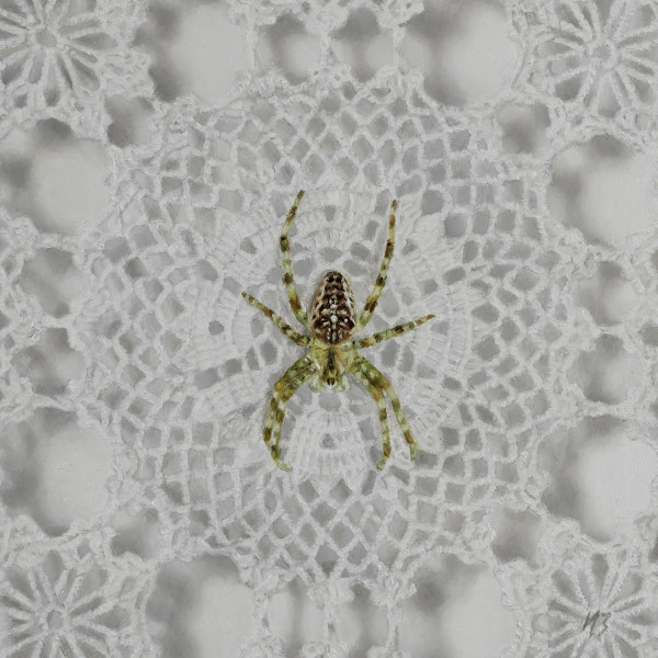 Crochet Spider by Narelle Zeller
