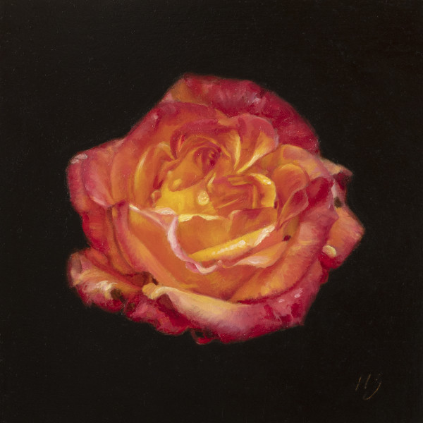 Rose by Narelle Zeller