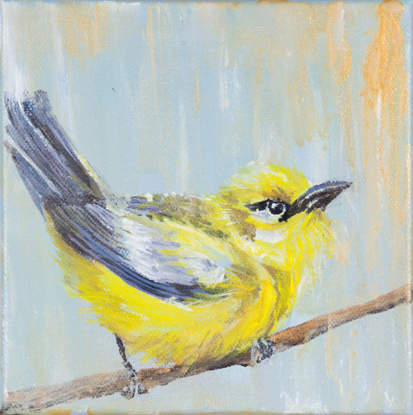 Yellow Bird by Kristin MacPherson