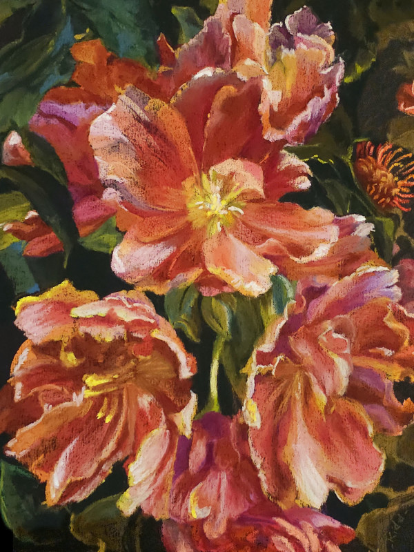 Crimson Tulips a Blaze by HEIDI KIDD