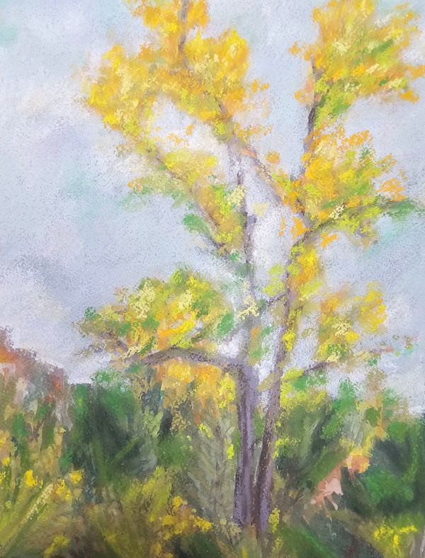 Fall at Ghost Ranch by HEIDI KIDD