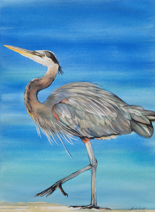 Great Blue Heron by HEIDI KIDD