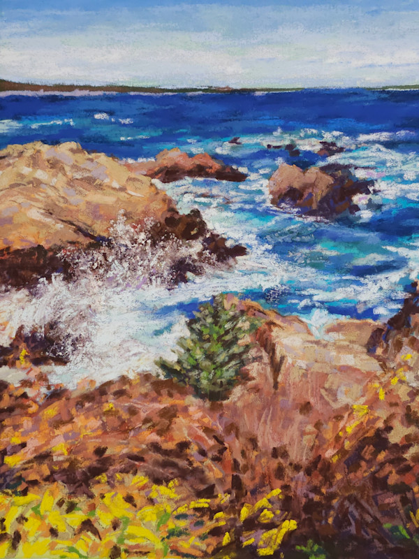 Rocky Cost of Maine by HEIDI KIDD