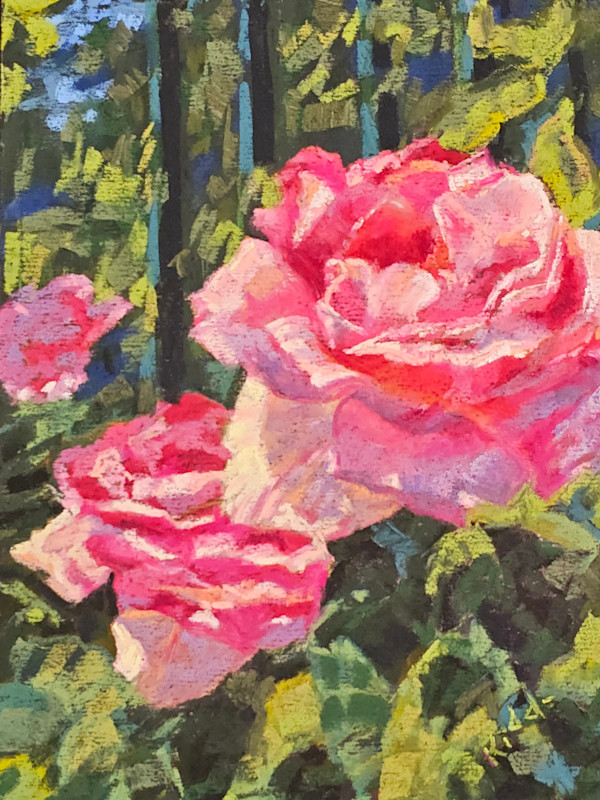 Roses in Sunlight by HEIDI KIDD