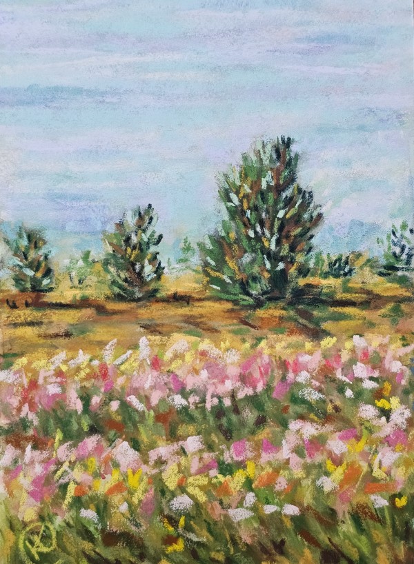 TULIPS AT PILOT POINT by HEIDI KIDD