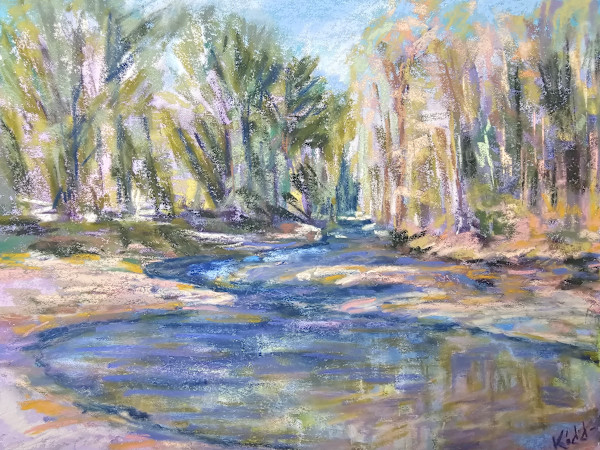 The Heard McKinney wooded pond by HEIDI KIDD