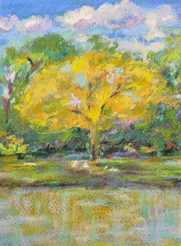 Tree with Ducks Town Lake McKinney by HEIDI KIDD