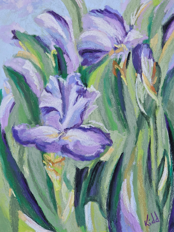 Waltz of The Irises by HEIDI KIDD