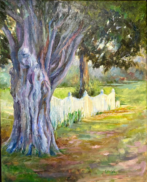 Old Cedar by Lois Shipley