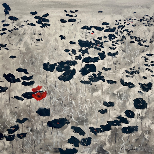 Black Poppies by Thomas Stevens