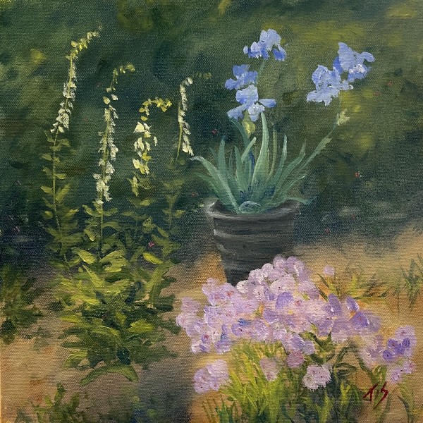Blue Iris by Thomas Stevens