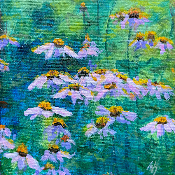 Coneflowers sketch by Thomas Stevens