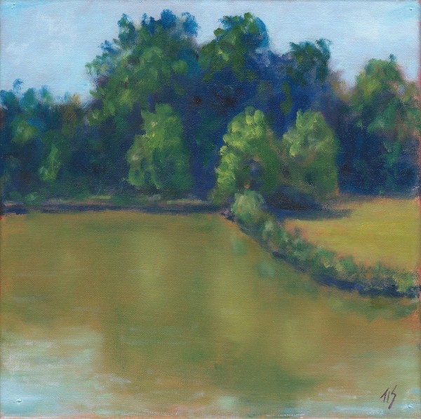 Meadowlands Pond (study) 36.06123N  79.07744W by Thomas Stevens