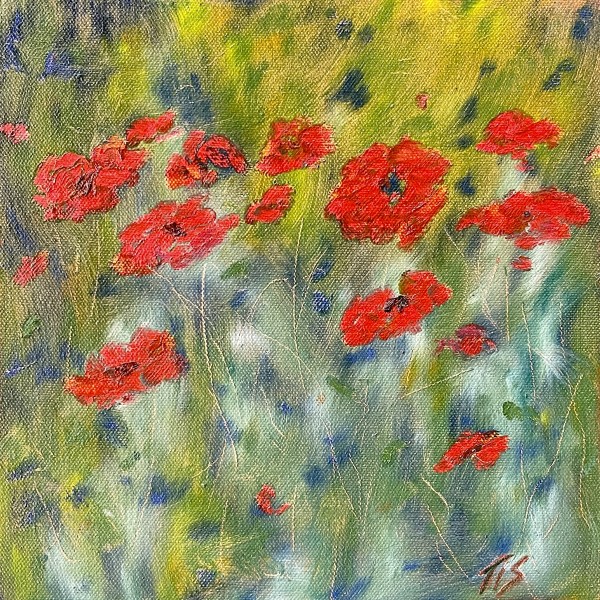 Red Poppies (sketch) by Thomas Stevens