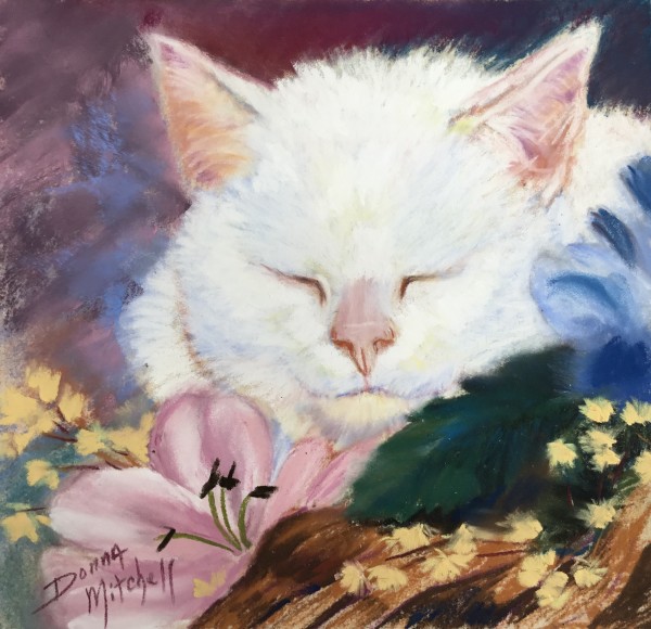 Catnap by Donna Mitchell