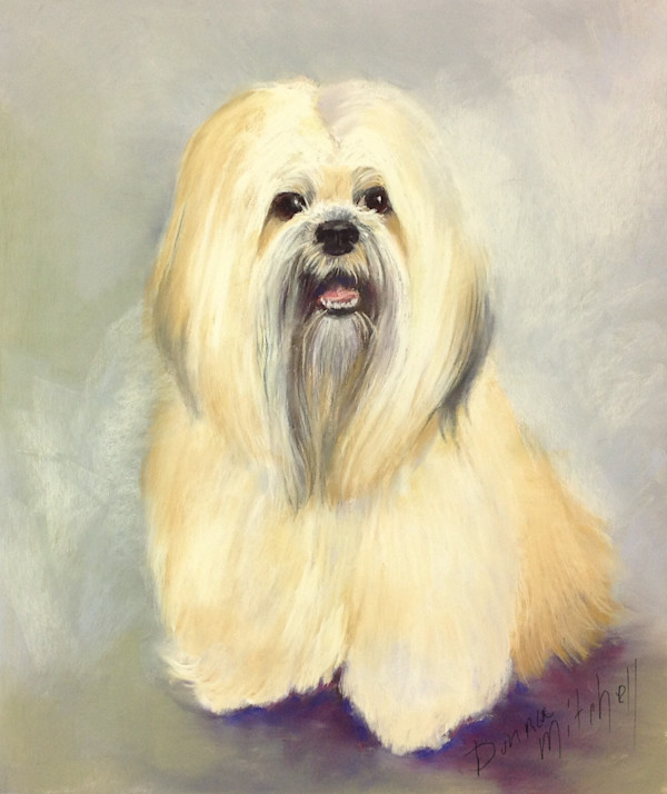 Portrait of SAM - Lhasa Apso by Donna Mitchell, Image 1.