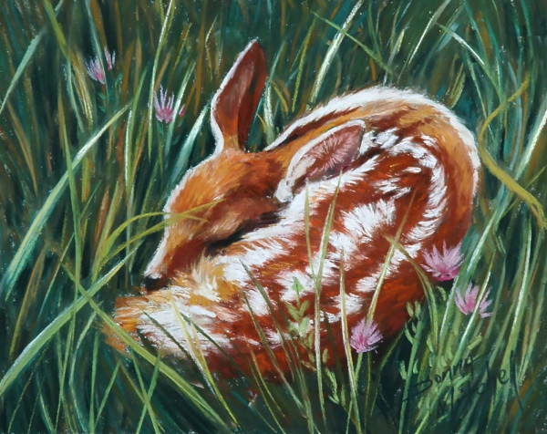 Fawn in the Grasses by Donna Mitchell