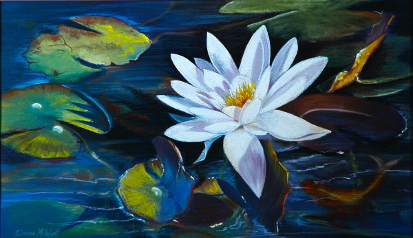 Water Lily by Donna Mitchell