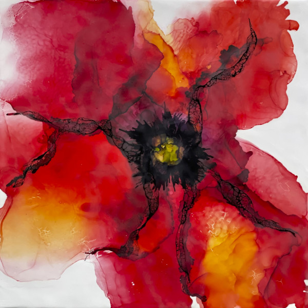 Poppy Red by Deborah Llewellyn