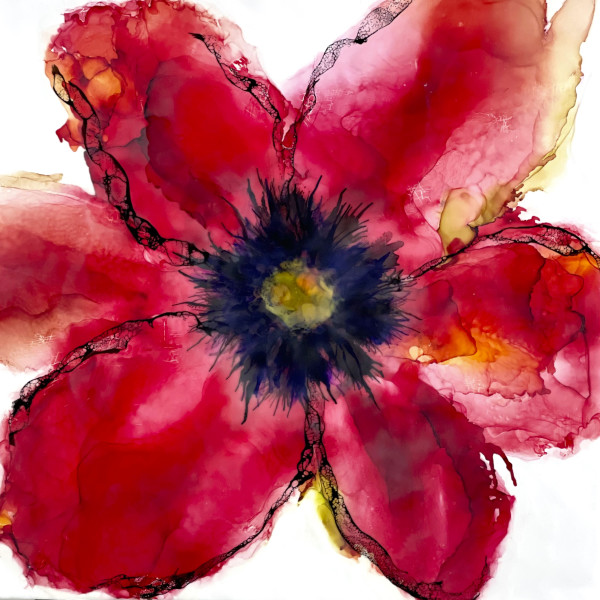 Poppy Red 2 by Deborah Llewellyn