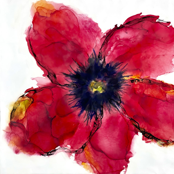 Poppy Red 3 by Deborah Llewellyn