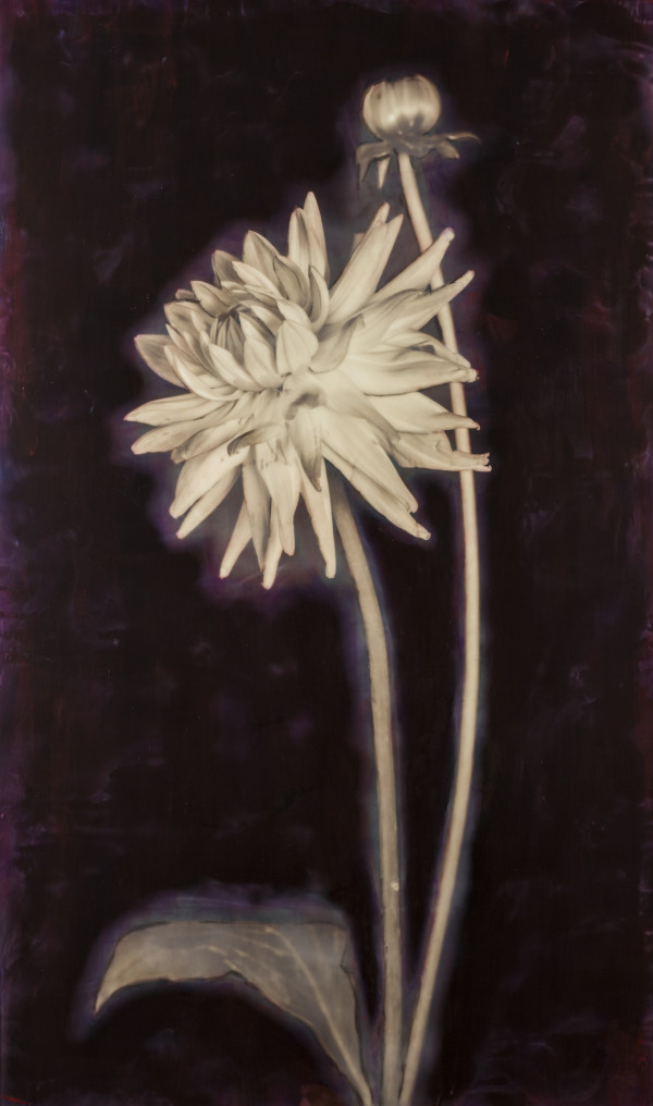 Inner Self (copy) by Deborah Llewellyn