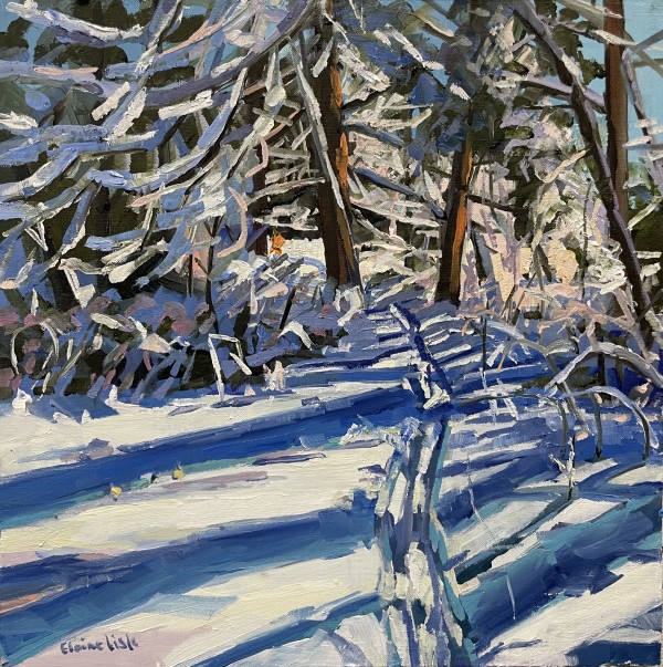 Snow Shadows by Elaine Lisle