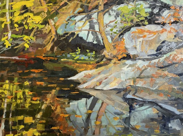 October Rock Reflections by Elaine Lisle