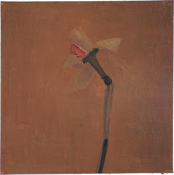 Daffodil Study 5 by John Beerman